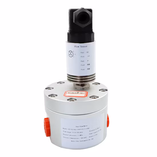 24V säurebeständiger Durchflussmesser 4